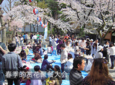 春季的赏花聚餐大会