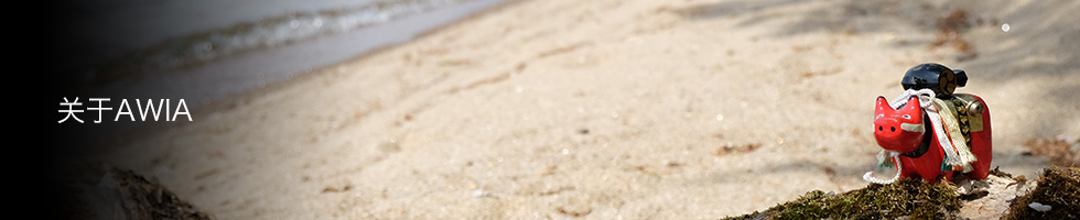 关于AWIA