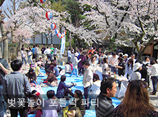 벚꽃놀이 포틀럭 파티