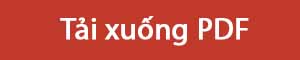 Tải xuống PDF