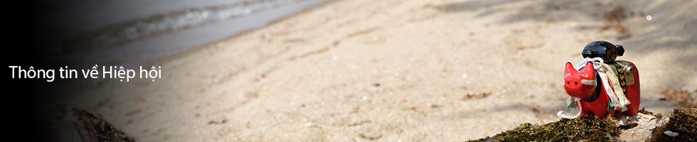 Thông tin về Hiệp hội